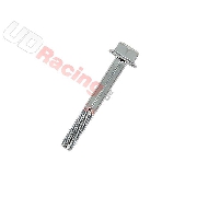 Schraube fr Zylinderkopf  Quad Shineray 300STE - 300ST-4E (Typ 2)