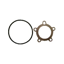 Dichtungssatz fr Zylinderkopf Pocket-ZPF, Teile Pocket Bike ZPF