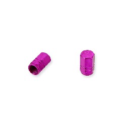 Paar Ventilkappen violet, Ersatz Shineray 250 STIXE ST9E