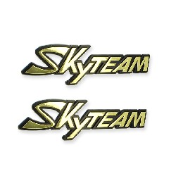 2 x Plastikaufkleber mit SkyTeam-Logo für Dax Skymax Tank