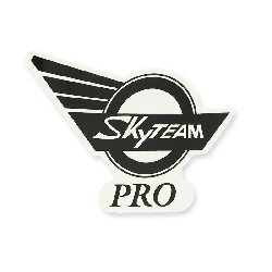 SkyTeam Pro Aufkleber fr Skymini-Panzer (rechts)