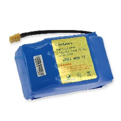 Batterie Li-ion 36v 4.4AH fr Overboard (11GD-10S2P ), Overboard Ersatzteile