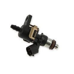 Kraftstoffinjektor Bashan 250cc BS250AS-43 (typ2), Teile Bashan 250cc BS250AS-43