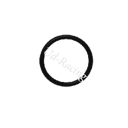 O-ring Gehusedeckel links Quad Shineray 250ST-9E