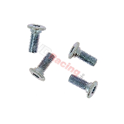 Schraubensatz zur Befestigung der Bremsscheibe Satz 4 Stk dirt bike 20mm, Ersatzteile Dirt bike