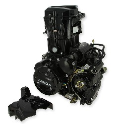 Motor komplett 167MM EURO4 für Quad Bashan 250 ccm (BS250AS-43)